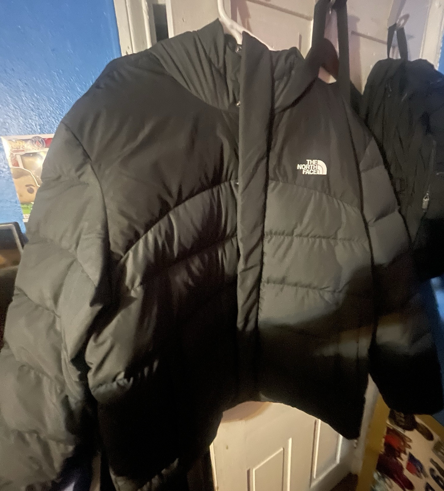 North Face Jacket