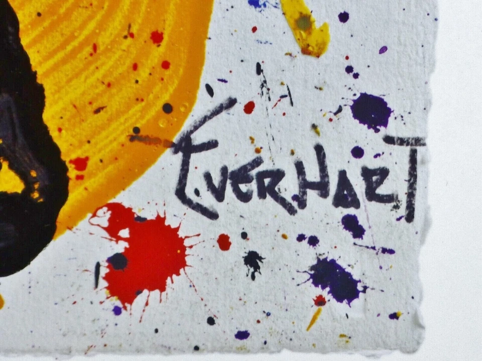 Litografia de aniversário assinada placa piloto cachorro Snoopy Tom Everhart Salute 2000 - Imagem 3 de 3