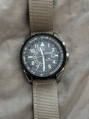 Citizen Promaster Nighthawk Watch