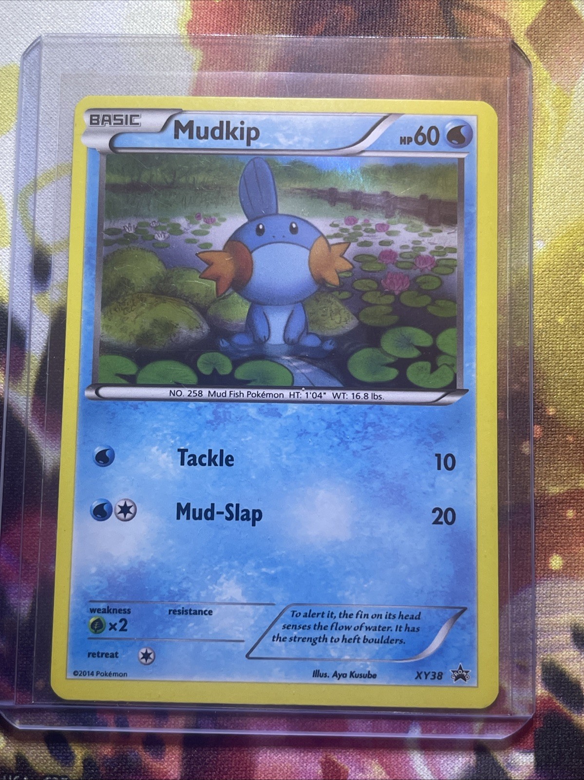 Mudkip XY38 Holo Black Star Promo Pokemon Card Mp