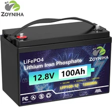 12V 100Ah LiFePO4 Lithium Iron Phosphate Battery BMS RV Camping Golf Cart Solar