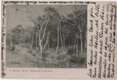 GRAAL MÜRITZ artist card K radish No 56 birch forest on the dune autograph nobility