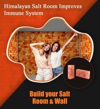 Himalayan salt bricks 8x4x2 pack of 50 for spa sauna walls and home improvement