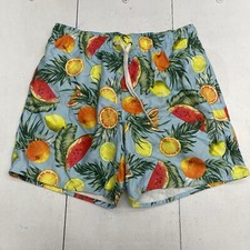 City Streets Blue Fruit Printed Mesh Lined Swim Trunk Shorts Mens Size Large