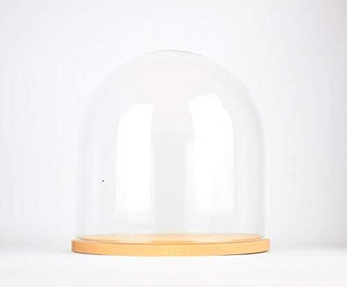 Small Handmade Mouth Blown Clear Circular Glass Display Cloche Dome With Wood...