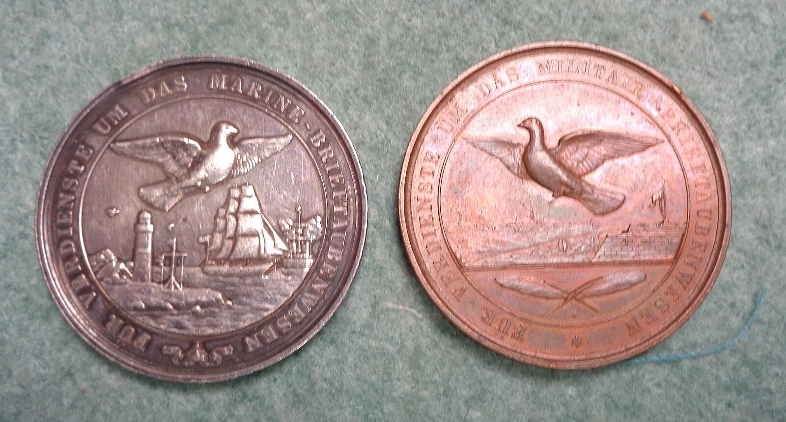 Picture 5 of 5
