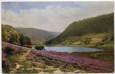 Beside the Lower Lake Spring Flowers, Glendalough, Wicklow, Ireland Postcard '48