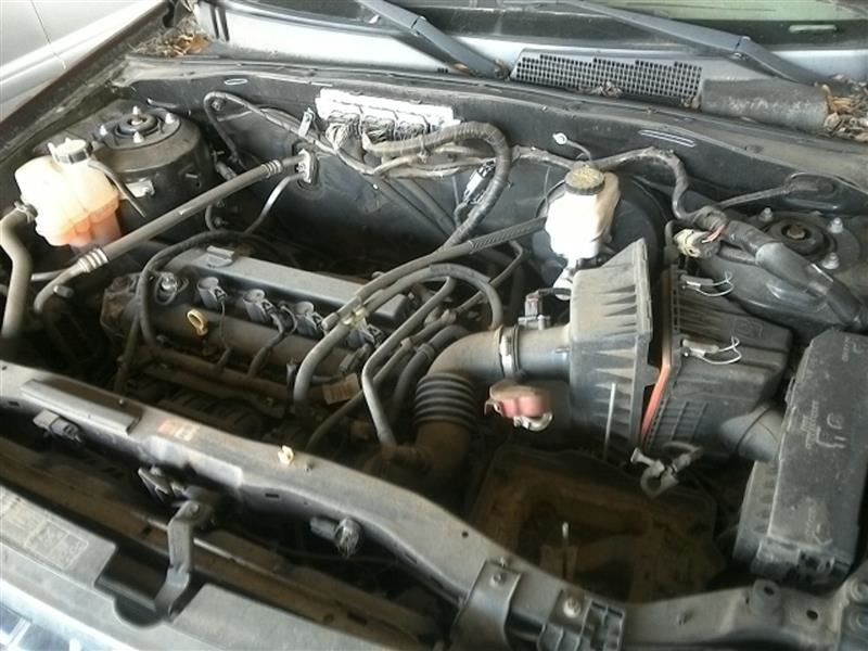 Picture 4