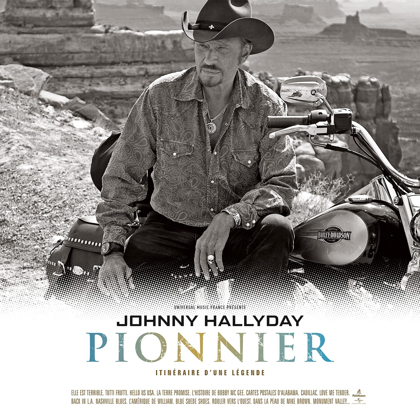 Johnny Hallyday Pionnier (Vinyl)