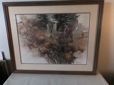 Morten E Solberg ''Thistledown'' Kestrel near Waterfall Print, framed at 29'' x 34''