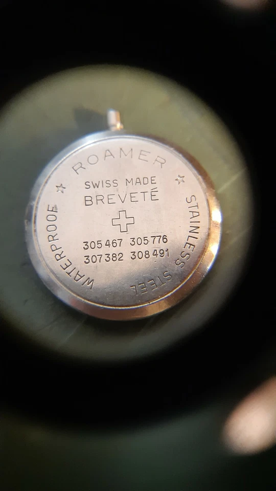 Roamer anfibio - Immagine 2 di 4