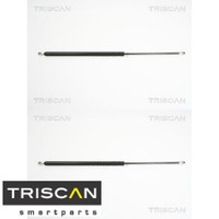 2X Gasfeder FüR Koffer-/Laderaum Triscan 871024232 DäMpfer GasdäMpfer