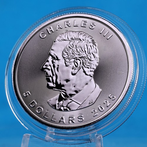2025 Canada Farbmünze Ancient Egypt Ankh (3.) 1 OZ SILBER - COLOR EDITION - Afbeelding 12 van 13