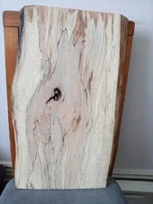 S-1801  Spalted Maple Slab  20 34"x10-12"x1 18"