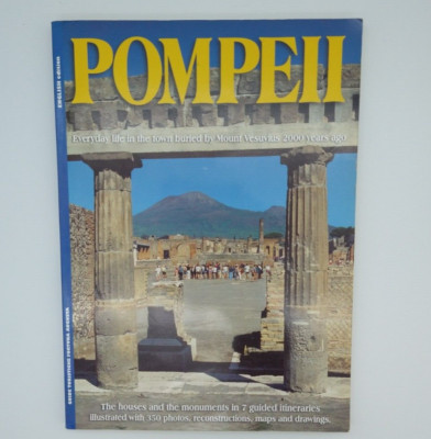 Pompeii: Everyday life in the town buried by Mount Vesuvius 2000 years ago Book