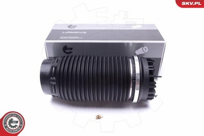 ESEN SKV 58SKV056 Luftfeder, Fahrwerk für RAM