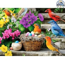 Hummingbird Jigsaw Puzzle 300 Pieces Colorful Bird Eggs Flowers Spring Poster
