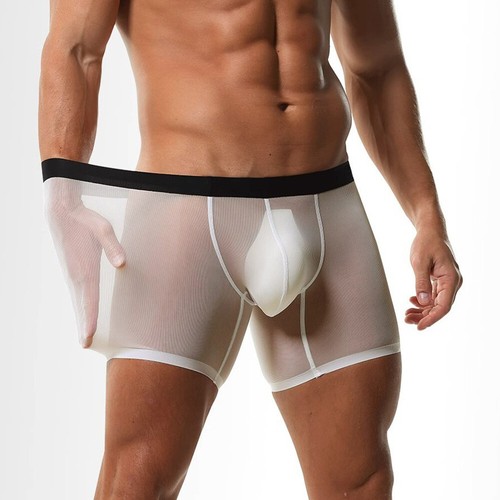 Men Boxer Shorts Soft Seamless Underwear Ice Silk Sexy Thin Panties Underpants ∂ - Picture 14 of 26