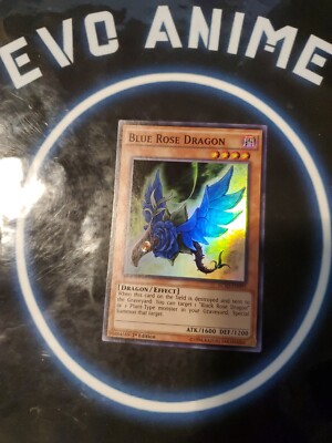 Blue Rose Dragon Anime