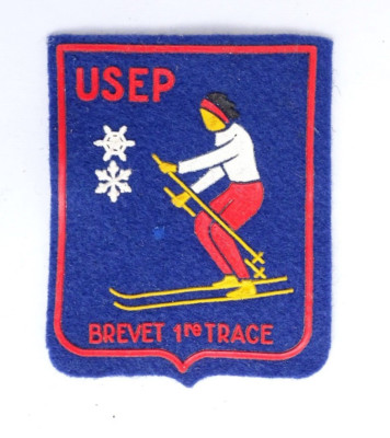 Sk1177 - Insigne Brevet Ski Jeunes Touting Club De France