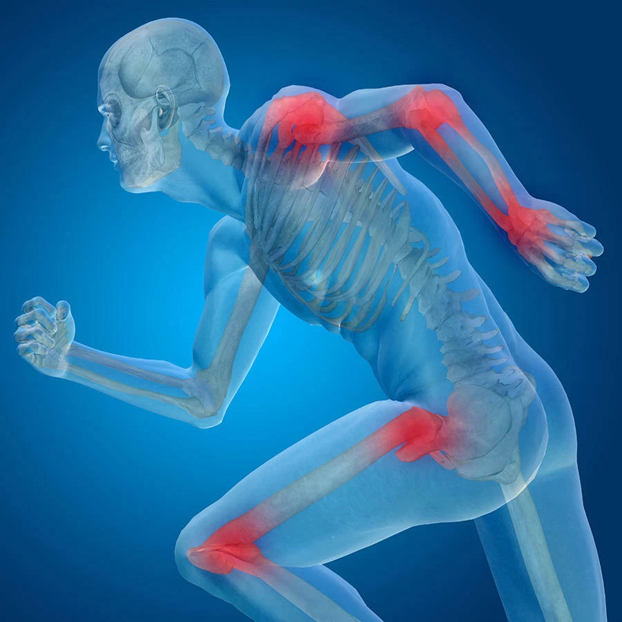 Suplementos de soporte articular best seller - COMPLEJO MATRIZ ARTICULAR 2170MG - pastilla 2B Foto 4 de 4