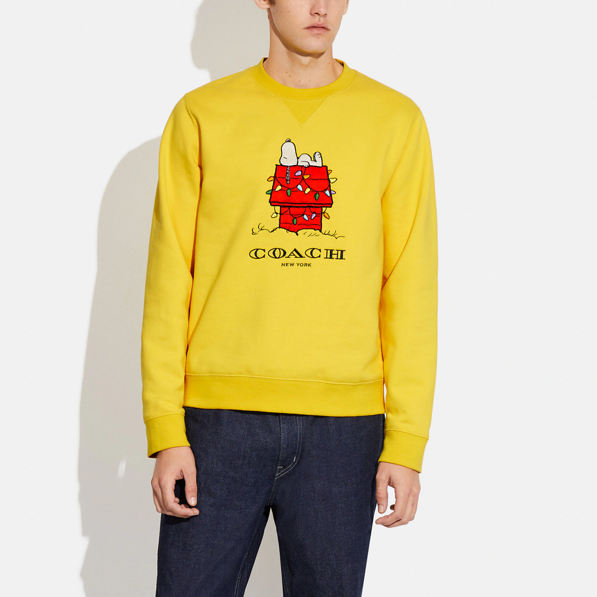 NWT Coach X Peanuts MEN'S Snoopy Lights Crewneck CE548 | eBay