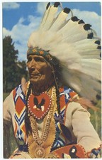 Native American Chief in Headdress Vintage Po...