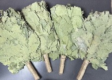 4 Oak Venik Sauna Broom Sauna Banya                               