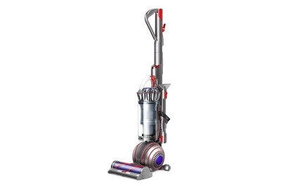 Dyson Bodenstaubsauger UP32 Teppichreiniger Pet