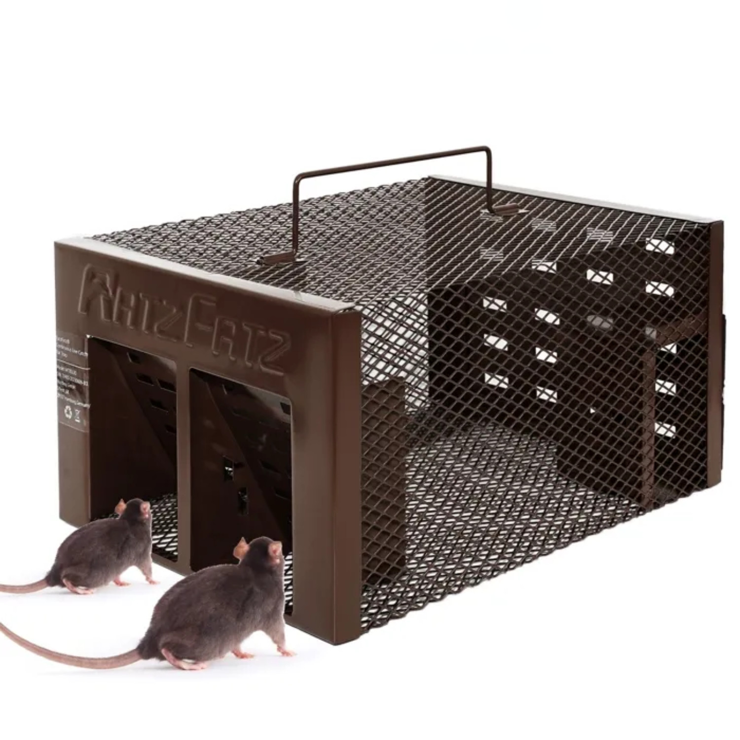 Piège à souris vivant RatzFatz pour éliminer les bruits de rongeurs sans poison