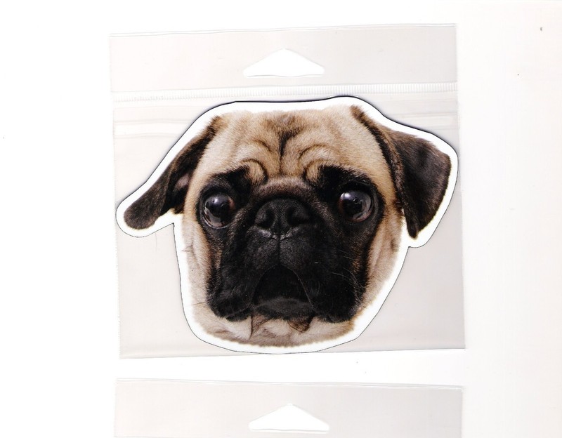 Pug Fawn 4 inch face magnet for car or anything metal     New