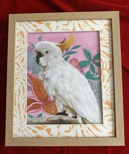 Cockatoo White Bird Tropical Print Framed Artwork Measures 12x14”
