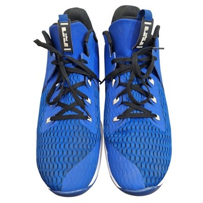 Nike LeBron Witness 5 Game Royal Blue White Basketball Shoes CQ9380-400 Men's 18