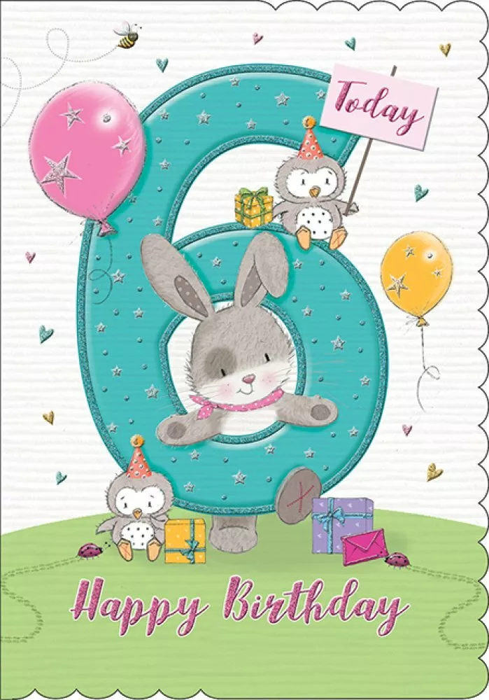 Happy 6th birthday girl deals