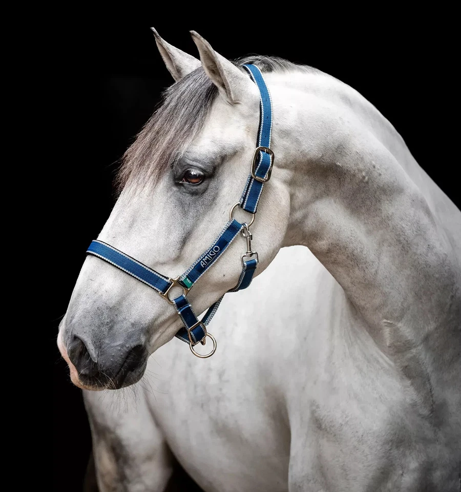 HEADCOLLAR Horseware Amigo Delphinium Blue/Navy (Pony)*NUEVO CON ETIQUETAS* (Lote de 2) Foto 2 de 4