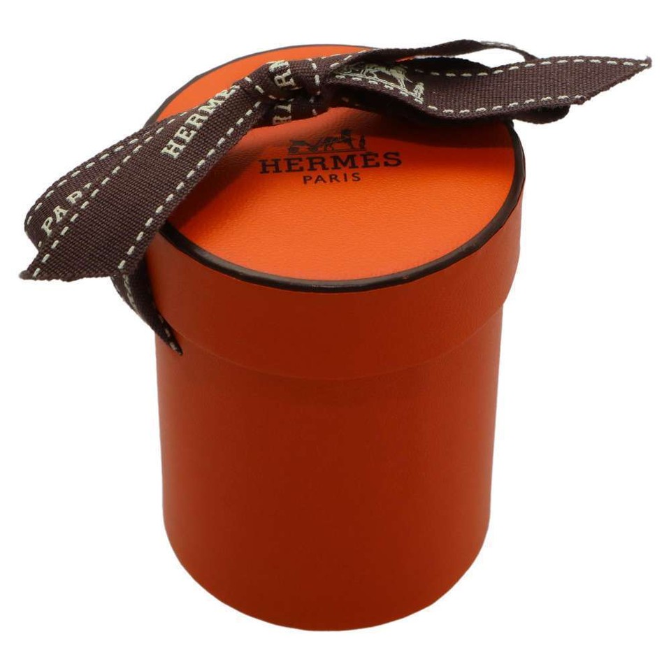 Hermes Scarf Twilly Space Derby Silk Twill 2022 Fall/Winter eBay