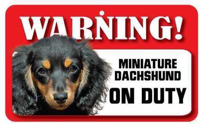 Long Haired Miniature Dachshund Sign Laminated Card Beware Of