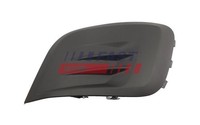 Fast Blende, Nebelscheinwerfer FT10564G FüR CitroËN Peugeot