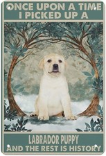 Yellow Labrador Puppy Poster Painting Tin Metal Signs Home D cor 8x12
