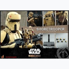 Hot Toys TMS031 Star Wars Shoretrooper 1 6 Limited Collectible Action Figure