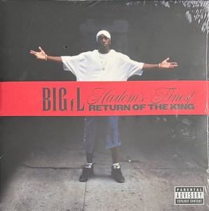 Big L Vinyl | eBay
