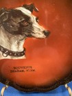 Antique plate Greyhound Whippet - Braham, Minn. — photo 3