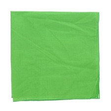 Solid Color Bandana Green