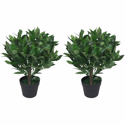 Paar künstliche Lorbeer Topiary Kugelbäume PAAR 50cm Zwerg Echtholz Stamm