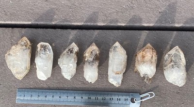 7 x Fensterquarz/Zepter, Goboboseb, Namibia. Quarz, Quartz