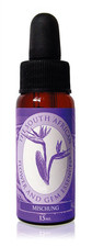 South African Essences, Einzelessenzen, Mischungen, Alchemistic, 15 ml