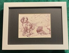 Welsh Springer MATTED | FRAMED | READY TO GIFT - 1986 Vintage Dog Art Print W