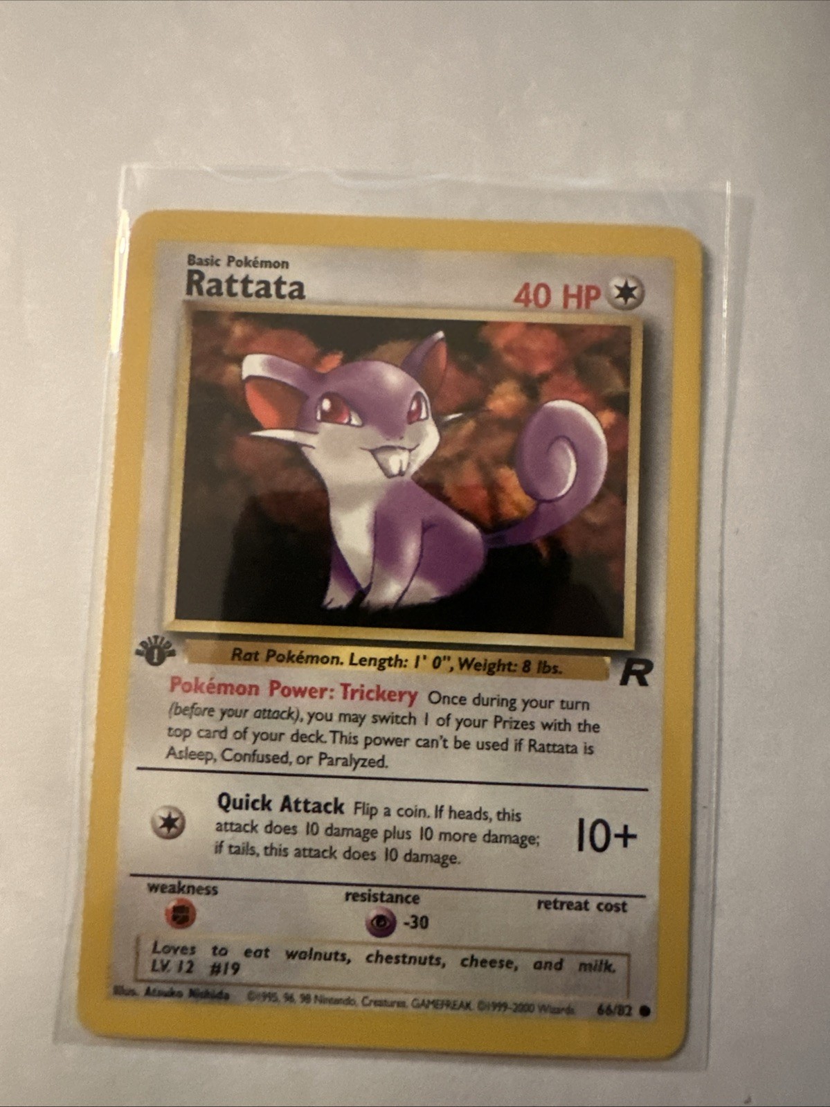 Pokémon TCG Rattata Team Rocket 66/82 Regular 1st Edition Common NM