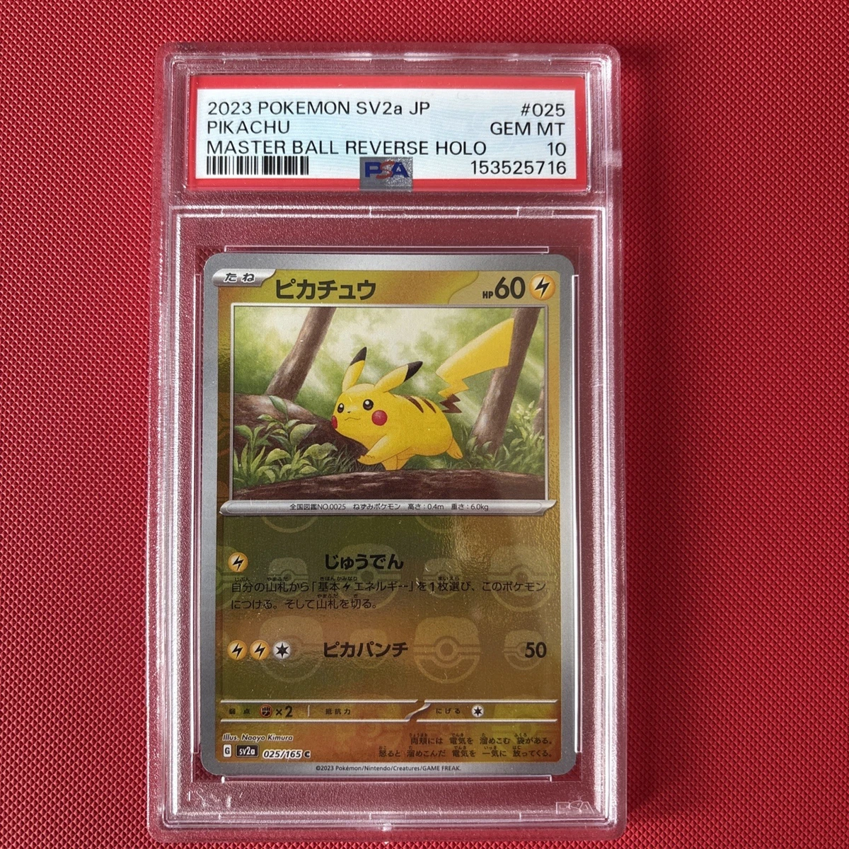 Pikachu Pokémon TCG Grade 10 Japanese Individual Collectable Card