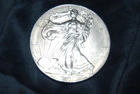 2013 American Silver Eagle Dollar US Mint Walking Liberty Coin 1oz .999 fine